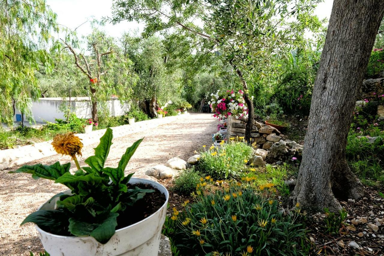 Terra Di Ulivo Villa Vieste Exterior photo